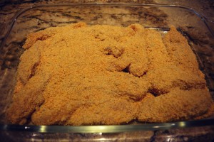 crunchy ranch chicken fingers