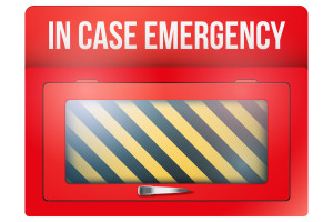 Empty red emergency box with in case of emergency breakable glass. Vector illustration Isolated on white background. Editable.