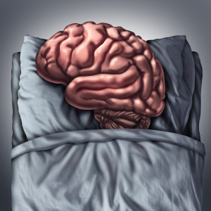Brain sleep health care and medical concept for benefits of resting the thinking organ by sleeping on a pillow in a bed as a cognitive and neurological metaphor for meditation and deep thought therapy.